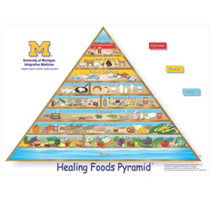University of Michigan Food Pyramid